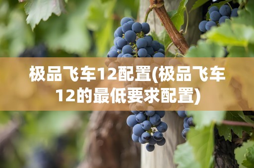 极品飞车12配置(极品飞车12的最低要求配置)