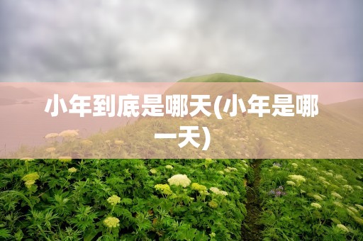小年到底是哪天(小年是哪一天)