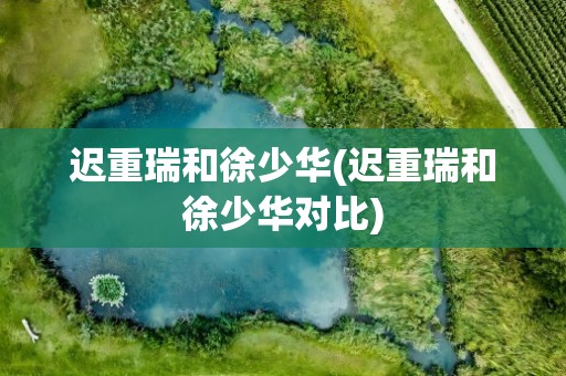迟重瑞和徐少华(迟重瑞和徐少华对比)