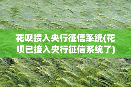 花呗接入央行征信系统(花呗已接入央行征信系统了)