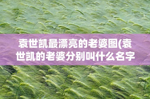 袁世凯最漂亮的老婆图(袁世凯的老婆分别叫什么名字)