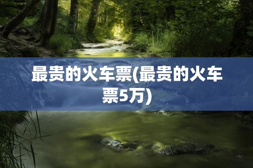 最贵的火车票(最贵的火车票5万)