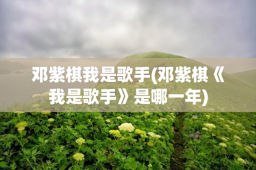 邓紫棋我是歌手(邓紫棋《我是歌手》是哪一年)