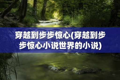 穿越到步步惊心(穿越到步步惊心小说世界的小说)