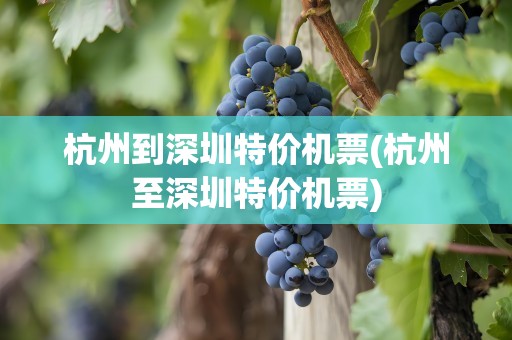 杭州到深圳特价机票(杭州至深圳特价机票)