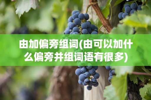 由加偏旁组词(由可以加什么偏旁并组词语有很多)