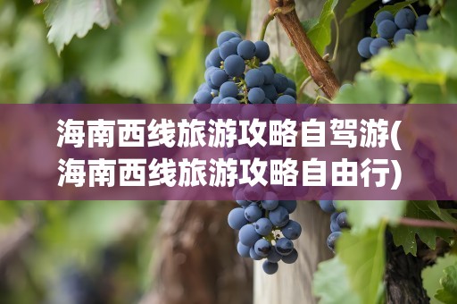 海南西线旅游攻略自驾游(海南西线旅游攻略自由行)