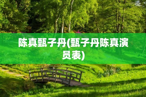 陈真甄子丹(甄子丹陈真演员表)