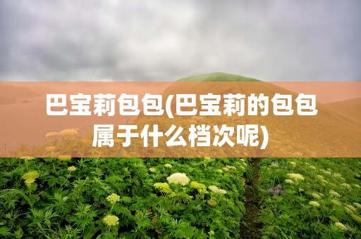 巴宝莉包包(巴宝莉的包包属于什么档次呢)