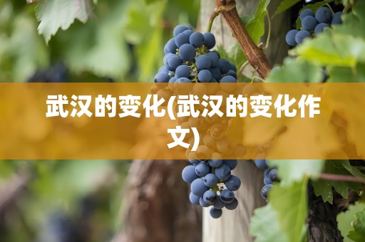 武汉的变化(武汉的变化作文)
