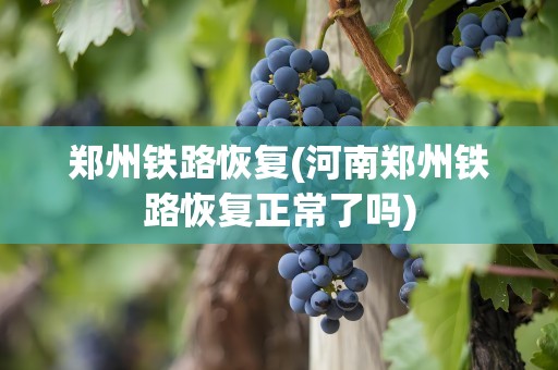 郑州铁路恢复(河南郑州铁路恢复正常了吗)