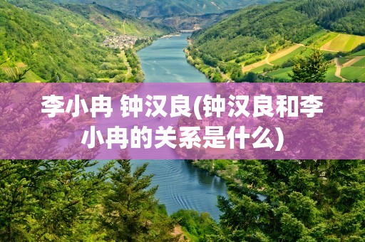 李小冉 钟汉良(钟汉良和李小冉的关系是什么)