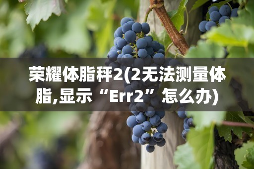 荣耀体脂秤2(2无法测量体脂,显示“Err2”怎么办)