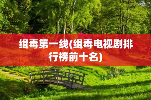 缉毒第一线(缉毒电视剧排行榜前十名)