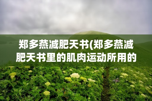 郑多燕减肥天书(郑多燕减肥天书里的肌肉运动所用的哑铃是多重)