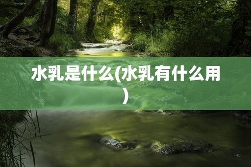 水乳是什么(水乳有什么用)