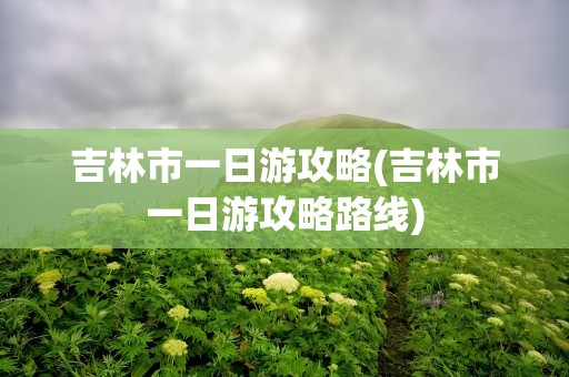 吉林市一日游攻略(吉林市一日游攻略路线)