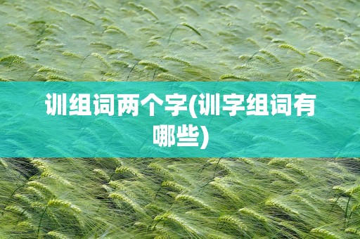 训组词两个字(训字组词有哪些)