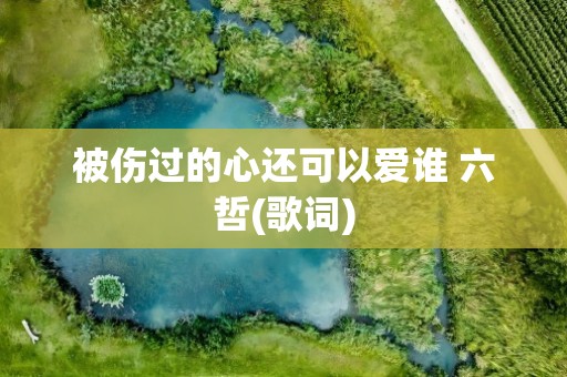 被伤过的心还可以爱谁 六哲(歌词)