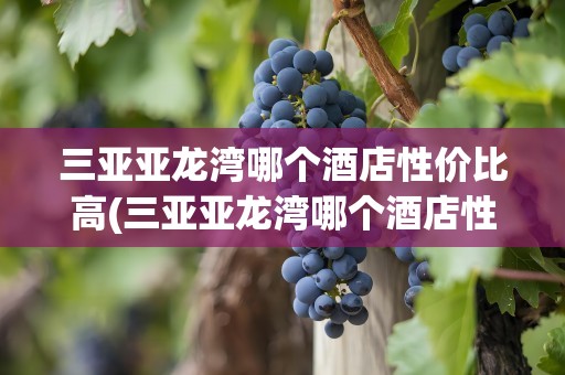 三亚亚龙湾哪个酒店性价比高(三亚亚龙湾哪个酒店性价比高点)