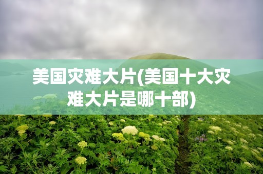 美国灾难大片(美国十大灾难大片是哪十部)