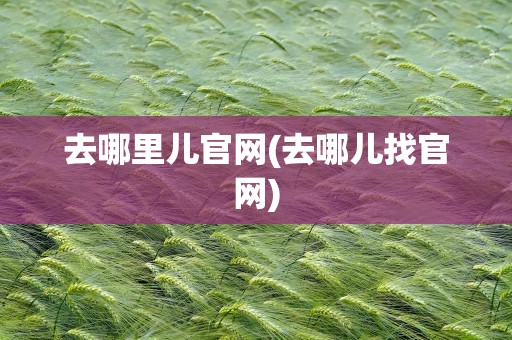 去哪里儿官网(去哪儿找官网)