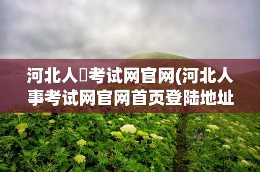 河北人亊考试网官网(河北人事考试网官网首页登陆地址)