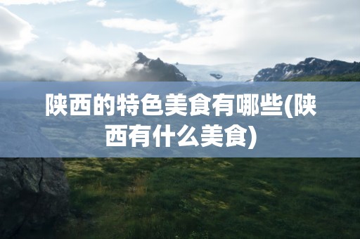陕西的特色美食有哪些(陕西有什么美食)