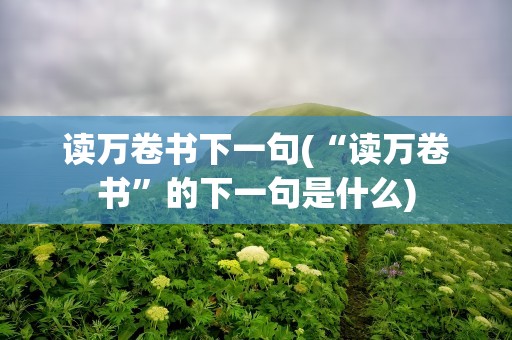 读万卷书下一句(“读万卷书”的下一句是什么)