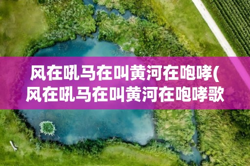 风在吼马在叫黄河在咆哮(风在吼马在叫黄河在咆哮歌词)
