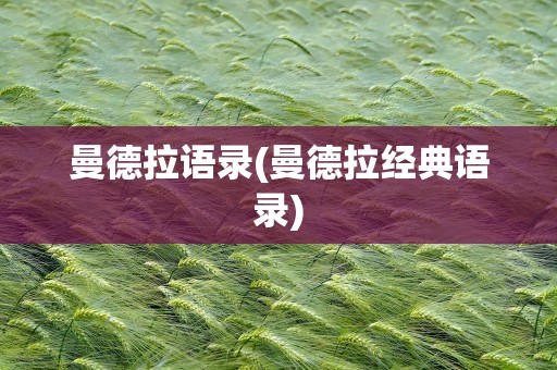 曼德拉语录(曼德拉经典语录)
