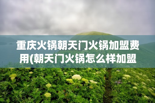 重庆火锅朝天门火锅加盟费用(朝天门火锅怎么样加盟一个火锅店需要投资多少钱)