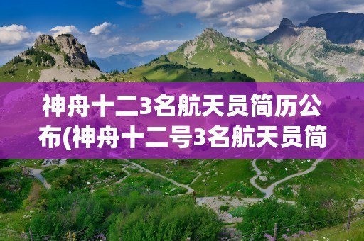神舟十二3名航天员简历公布(神舟十二号3名航天员简历公布)