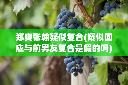 郑爽张翰疑似复合(疑似回应与前男友复合是假的吗)