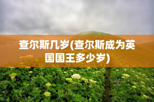 查尔斯几岁(查尔斯成为英国国王多少岁)