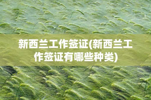 新西兰工作签证(新西兰工作签证有哪些种类)