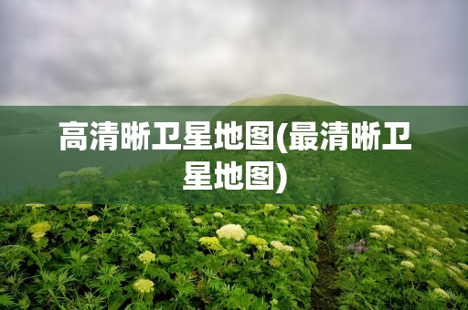 高清晰卫星地图(最清晰卫星地图)