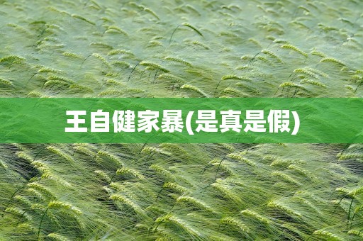 王自健家暴(是真是假)