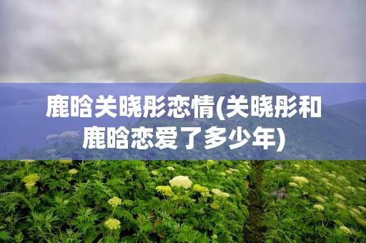 鹿晗关晓彤恋情(关晓彤和鹿晗恋爱了多少年)