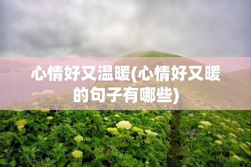 心情好又温暖(心情好又暖的句子有哪些)