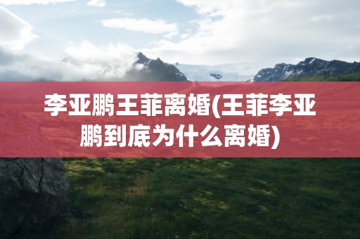 李亚鹏王菲离婚(王菲李亚鹏到底为什么离婚)