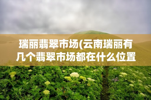 瑞丽翡翠市场(云南瑞丽有几个翡翠市场都在什么位置)