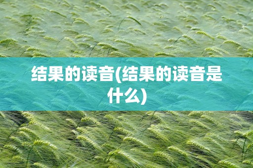结果的读音(结果的读音是什么)