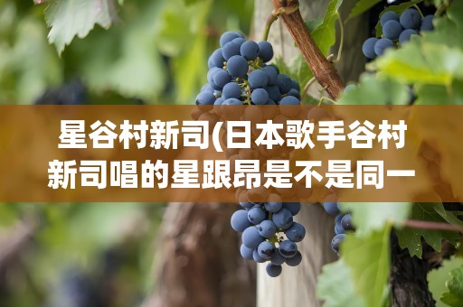 星谷村新司(日本歌手谷村新司唱的星跟昂是不是同一首歌)