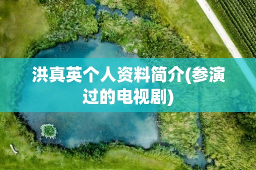 洪真英个人资料简介(参演过的电视剧)