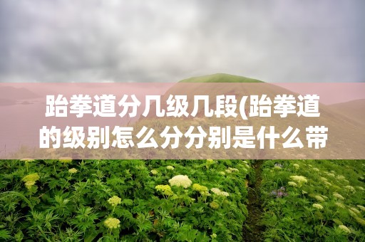跆拳道分几级几段(跆拳道的级别怎么分分别是什么带几段)