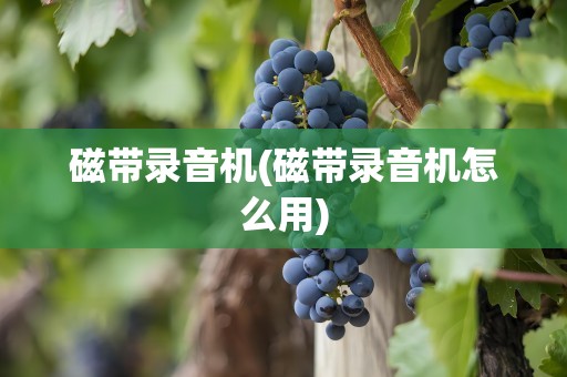 磁带录音机(磁带录音机怎么用)