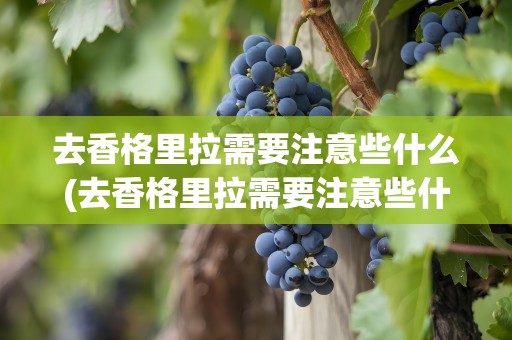 去香格里拉需要注意些什么(去香格里拉需要注意些什么事项)