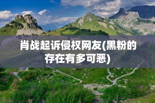 肖战起诉侵权网友(黑粉的存在有多可恶)