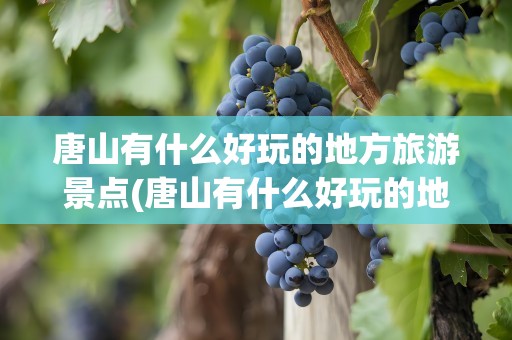 唐山有什么好玩的地方旅游景点(唐山有什么好玩的地方旅游景点免费)